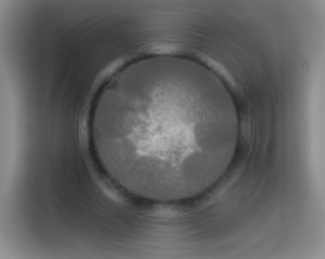 X0000113920682200910011512