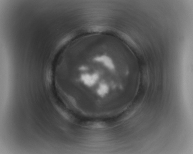 X0000113920683200910011512