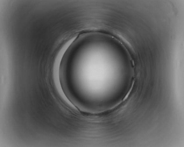 X0000113920685200910011512