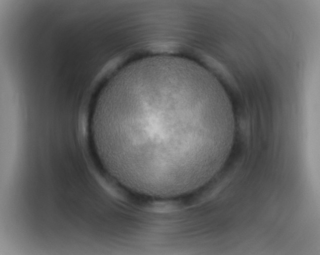 X0000113920686200910011512