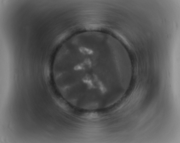 X0000113920687200910011512