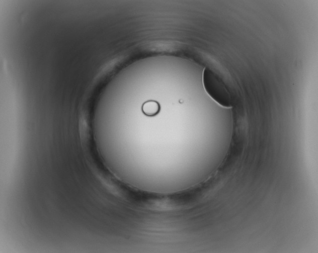 X0000113920688200910011512