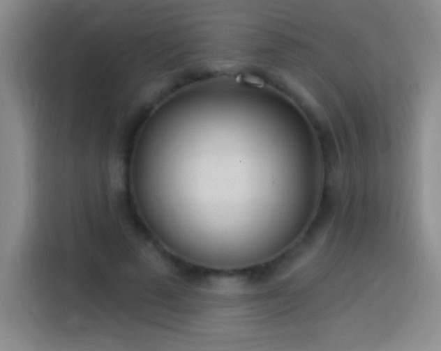 X0000113920689200910011512