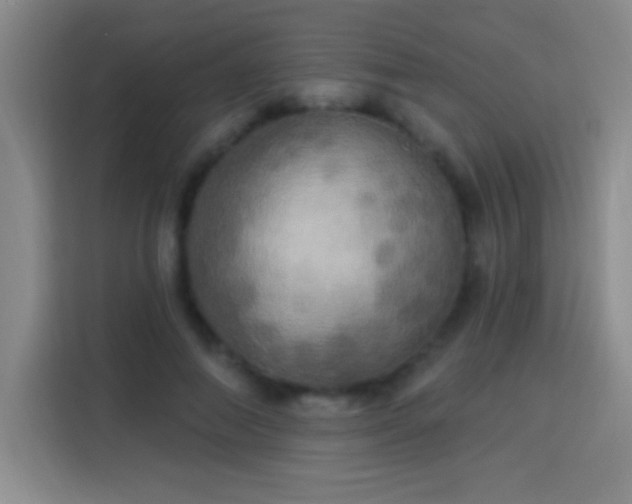 X0000113920690200910011512