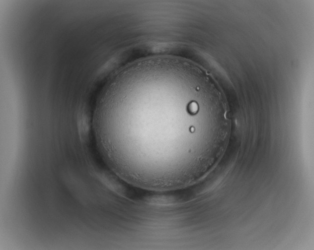 X0000113920691200910011512