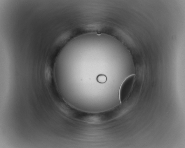 X0000113920692200910011512