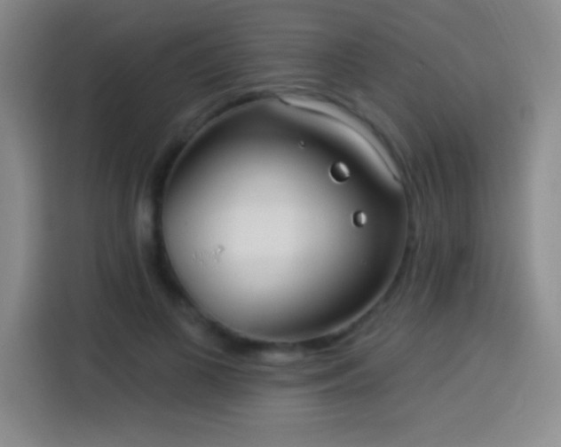 X0000113920693200910011512