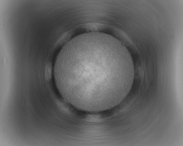 X0000113920694200910011512