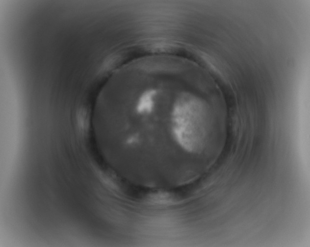 X0000113920695200910011512