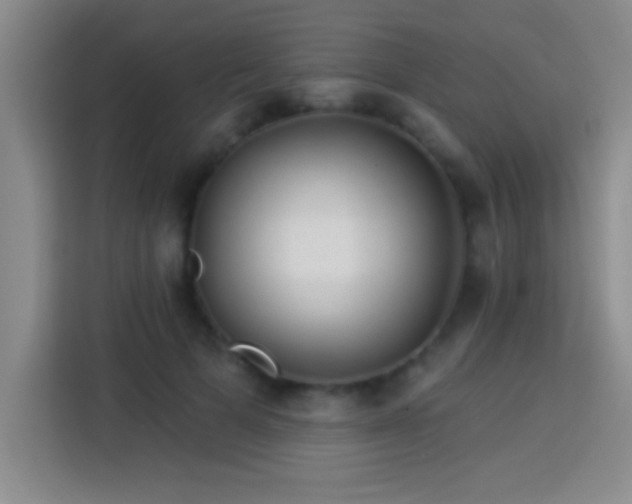 X0000113920697200910011512