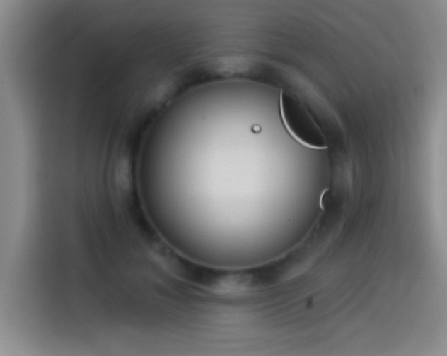 X0000113920700200910011512