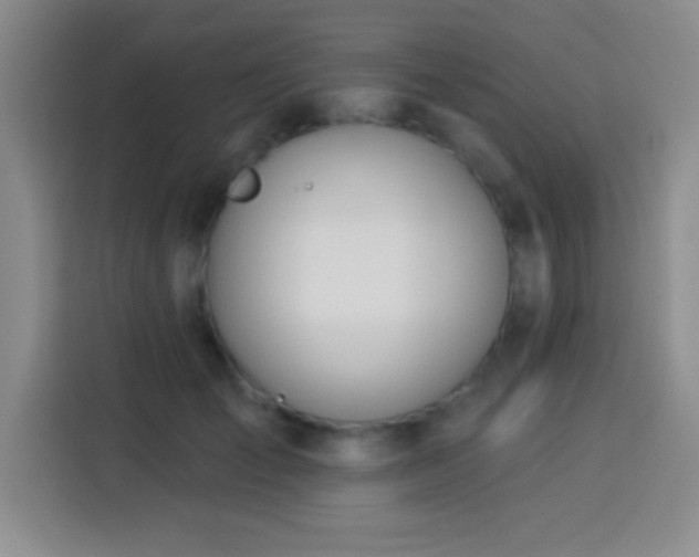 X0000113920701200910011512