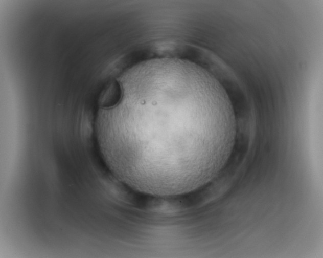 X0000113920702200910011512