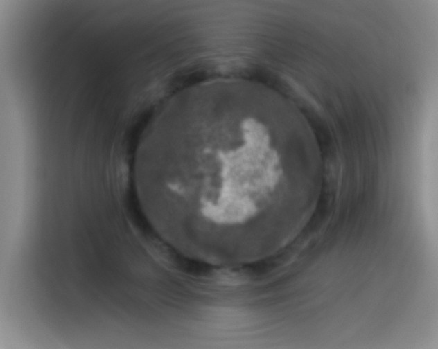X0000113920703200910011512