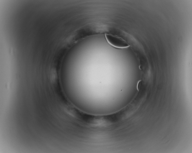 X0000113920704200910011512