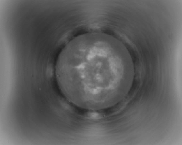 X0000113920706200910011512