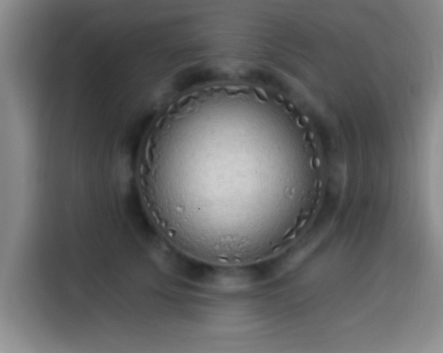 X0000113920707200910011512