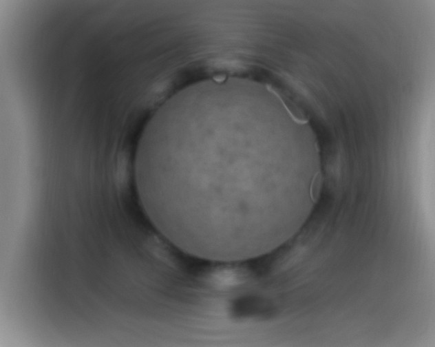 X0000113920708200910011512
