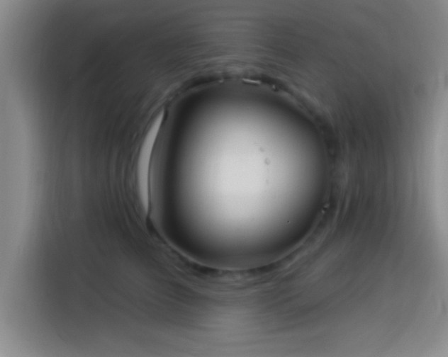 X0000113920709200910011512