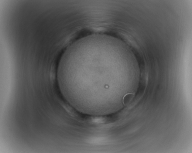 X0000113920710200910011512