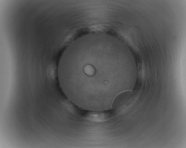 X0000113920712200910011512