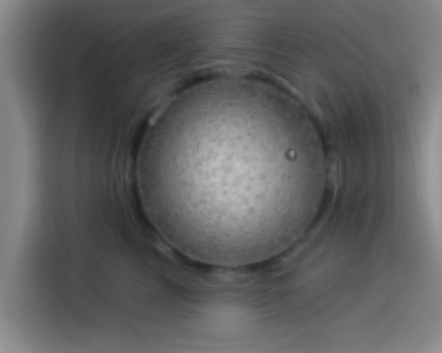 X0000113920713200910011512
