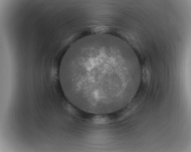 X0000113920714200910011512