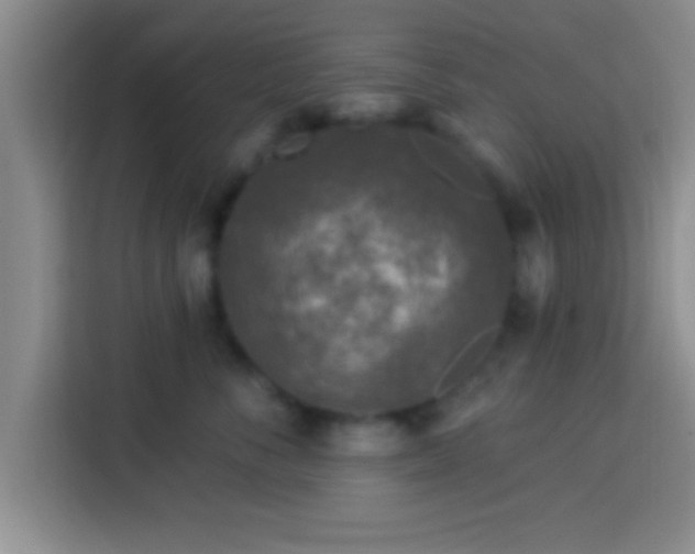 X0000113920716200910011512