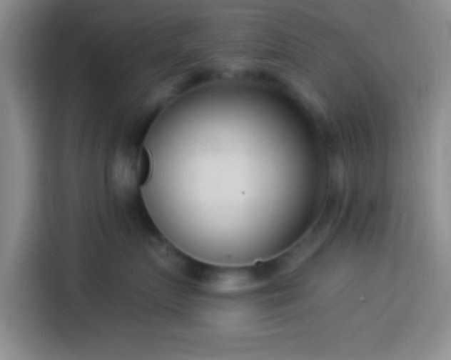 X0000113920719200910011512