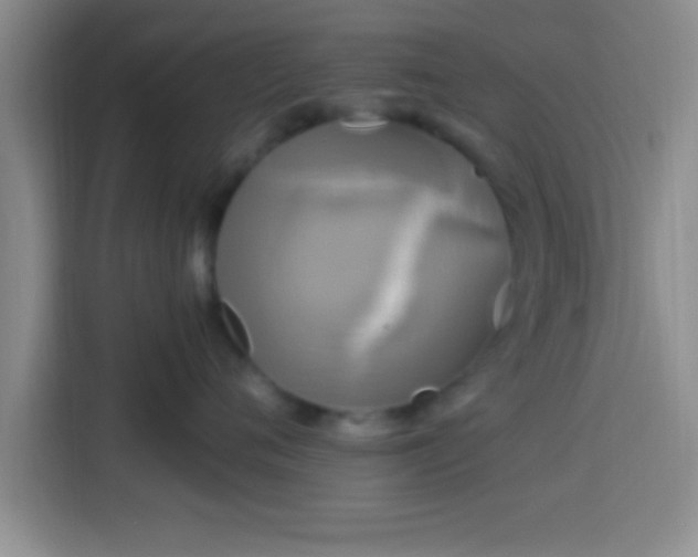X0000113920720200910011512