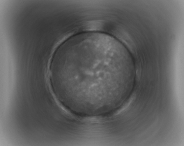 X0000113920721200910011511