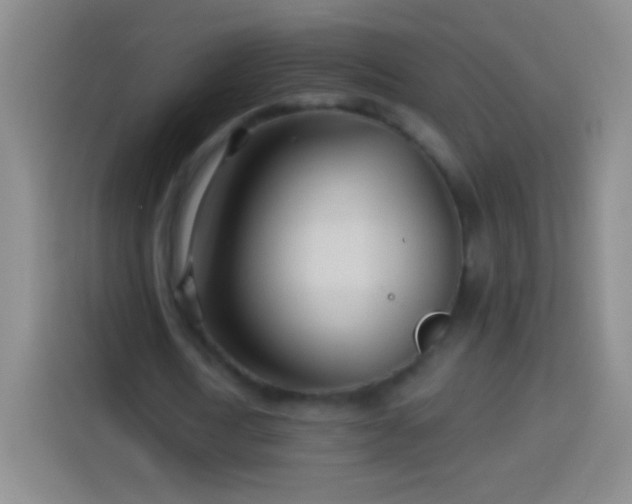 X0000113920722200910011511