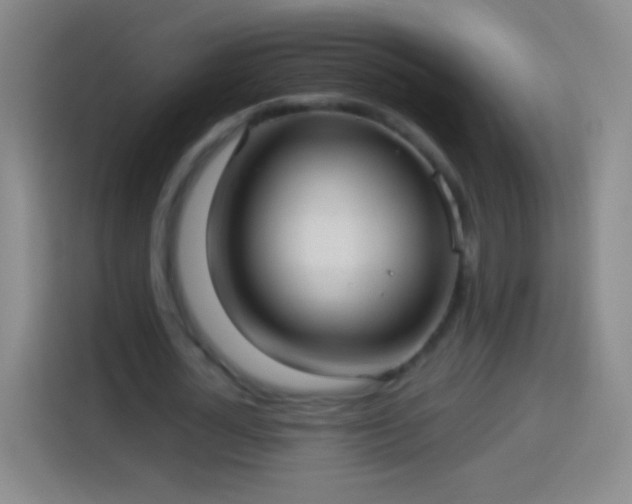 X0000113920724200910011511