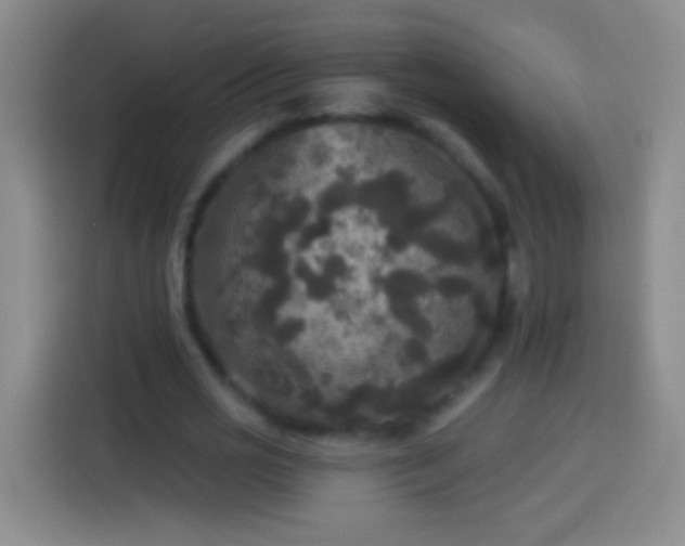 X0000113920725200910011511
