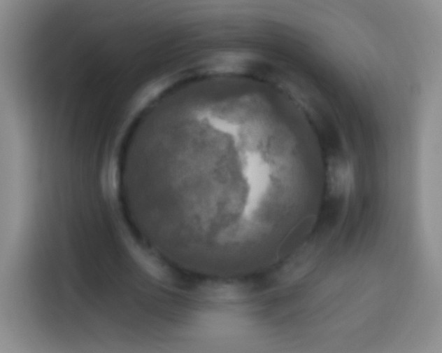 X0000113920726200910011511