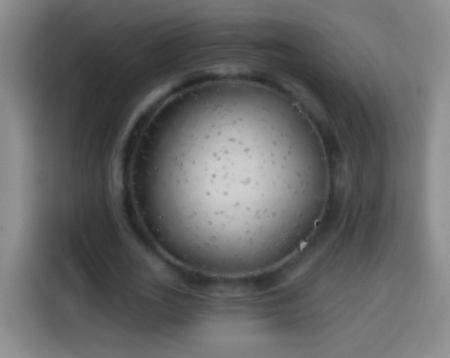 X0000113920727200910011511