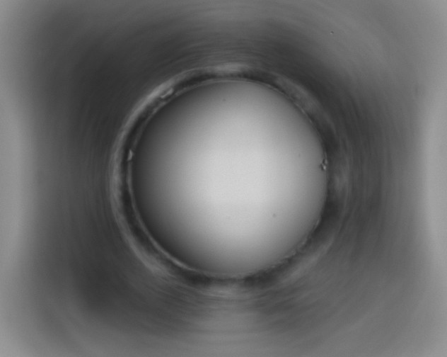 X0000113920728200910011511