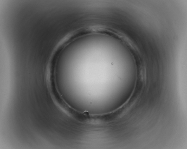 X0000113920730200910011511