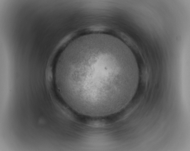 X0000113920731200910011511