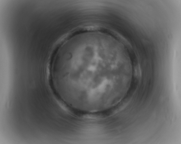 X0000113920733200910011511