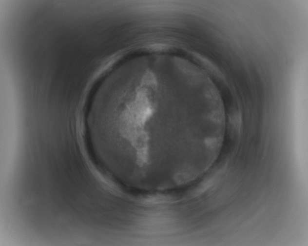 X0000113920734200910011511