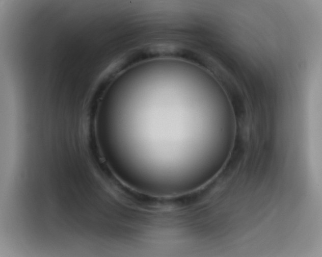 X0000113920735200910011511