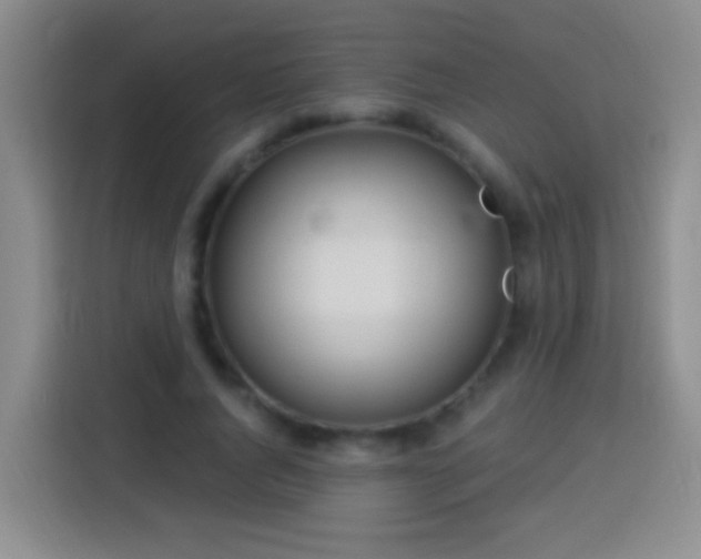 X0000113920736200910011511