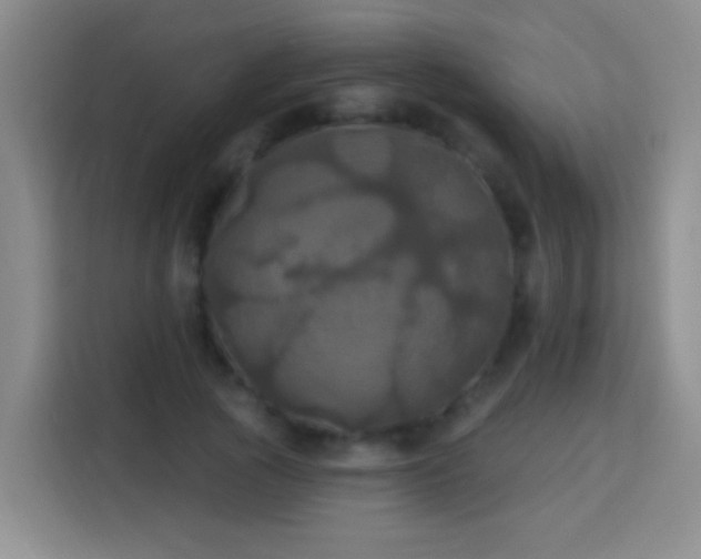 X0000113920737200910011511
