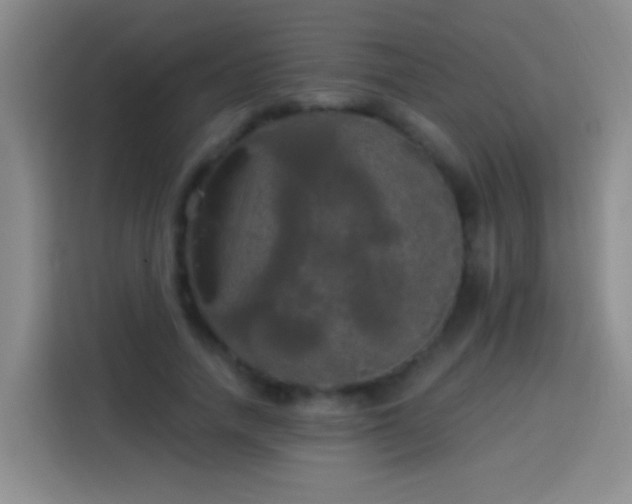 X0000113920738200910011511