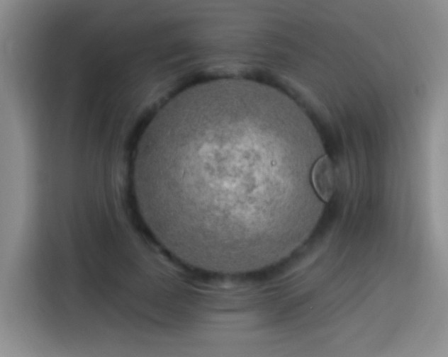 X0000113920739200910011511