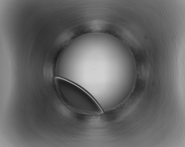 X0000113920740200910011511
