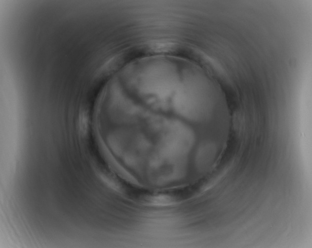 X0000113920741200910011511