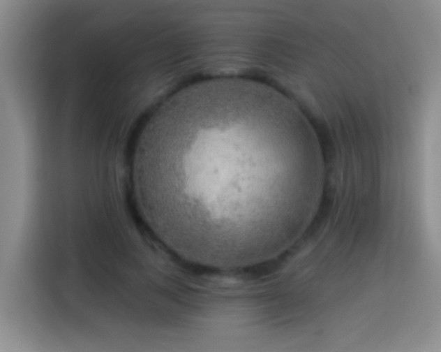 X0000113920743200910011511