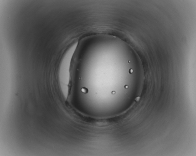 X0000113920744200910011512